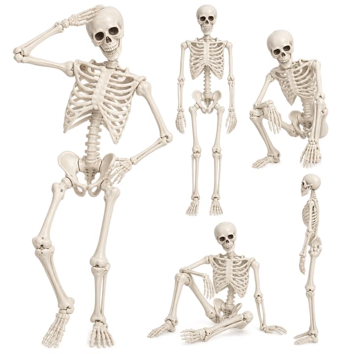 5.4FT Poseable Skeleton with Flexible Joints B8380