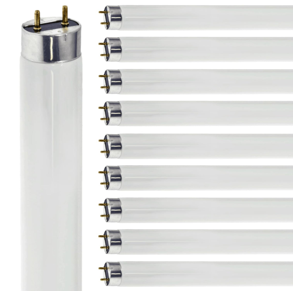 24 Inch T8 Fluorescent Tube Light Bulb 17W 5000K Bright White G13 Bi-Pin Base Pack of 10 H736229