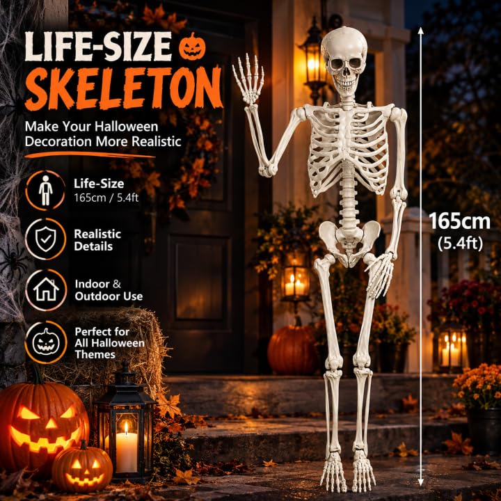 5.4FT Poseable Skeleton with Flexible Joints B8380