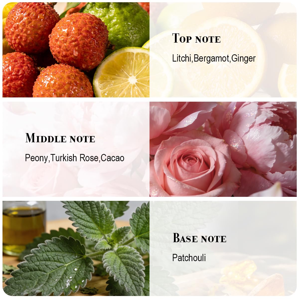Eau de Parfum for Women 50ml G1299