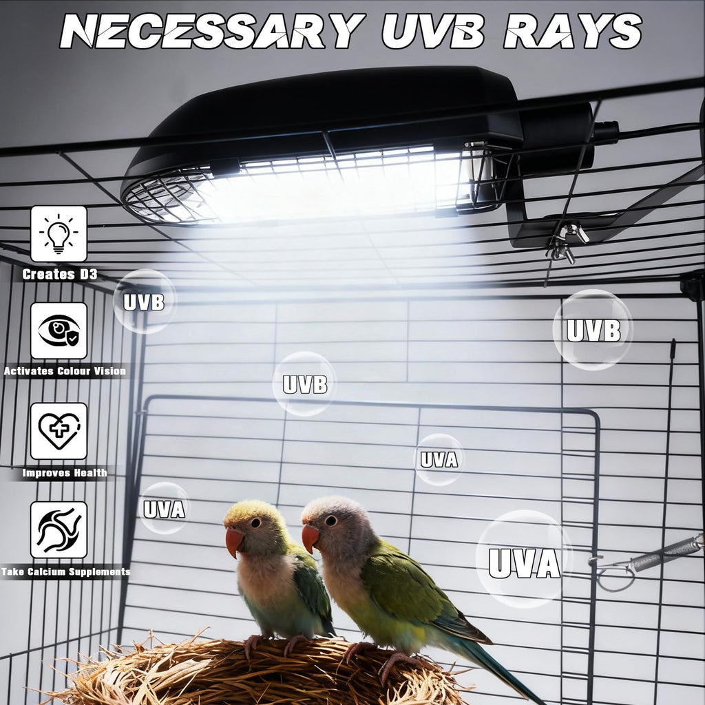 Bird Cage Light Fixture Combo Kit with Adjustable Timer M9872