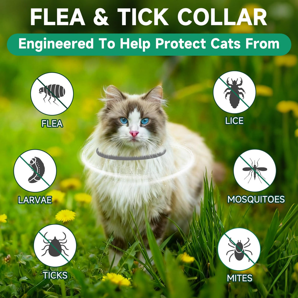 Grey 4-Pack Cat Flea and Tick Collar F707158