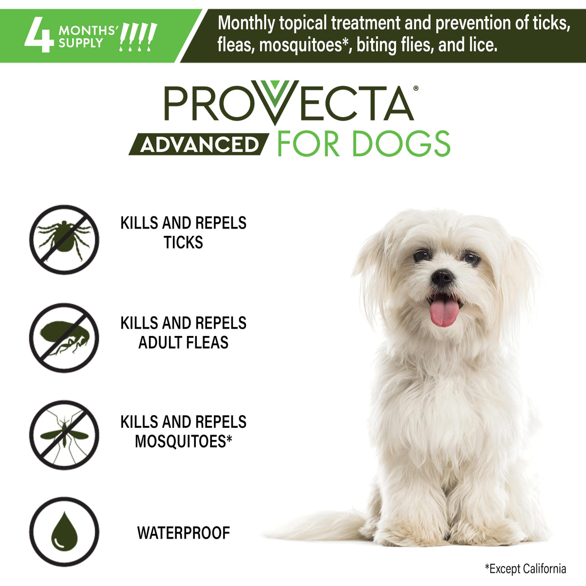 Flea & Tick for Small Dogs 5-10 lbs, 4-Month Supply D336135
