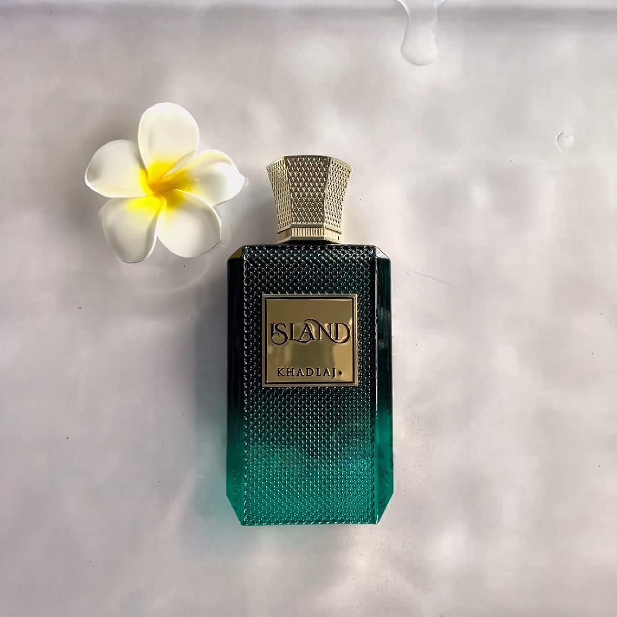 3.4 Ounce Unisex Extrait de Parfum Spray Y48581