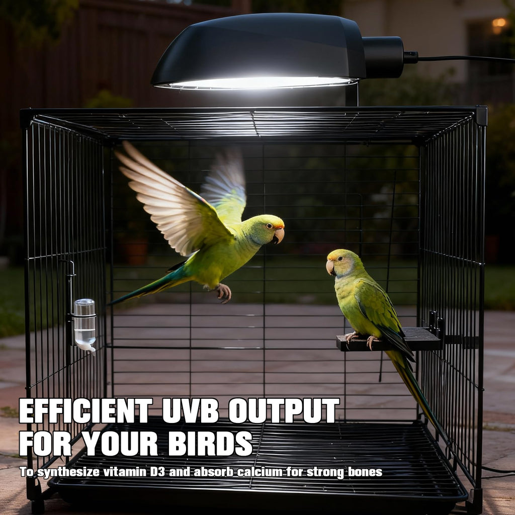 Bird Cage Light Fixture Combo Kit with Adjustable Timer M9872