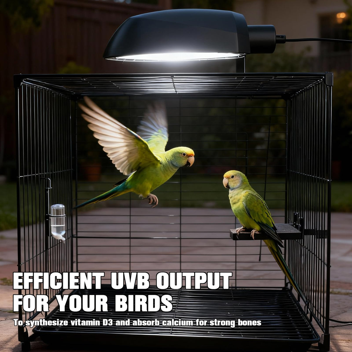 Bird Cage Light Fixture Combo Kit with Adjustable Timer M9872