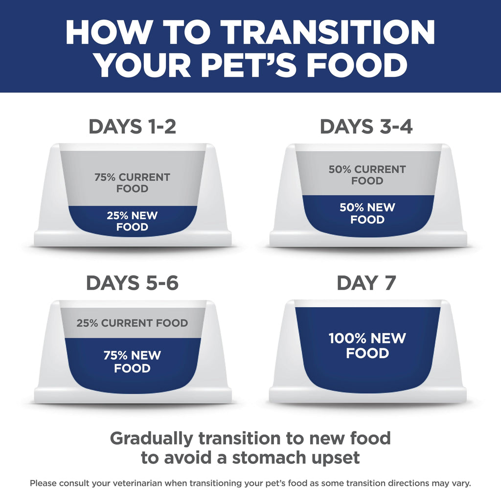 Dry Dog Food Y543908