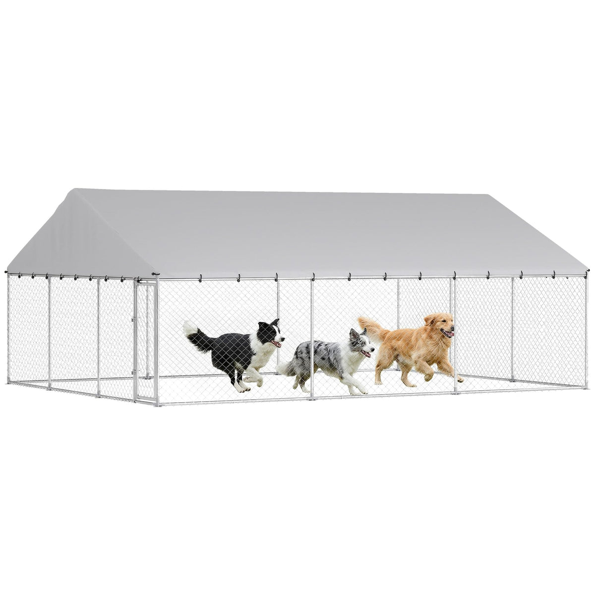 Outdoor Dog Kennel P5532