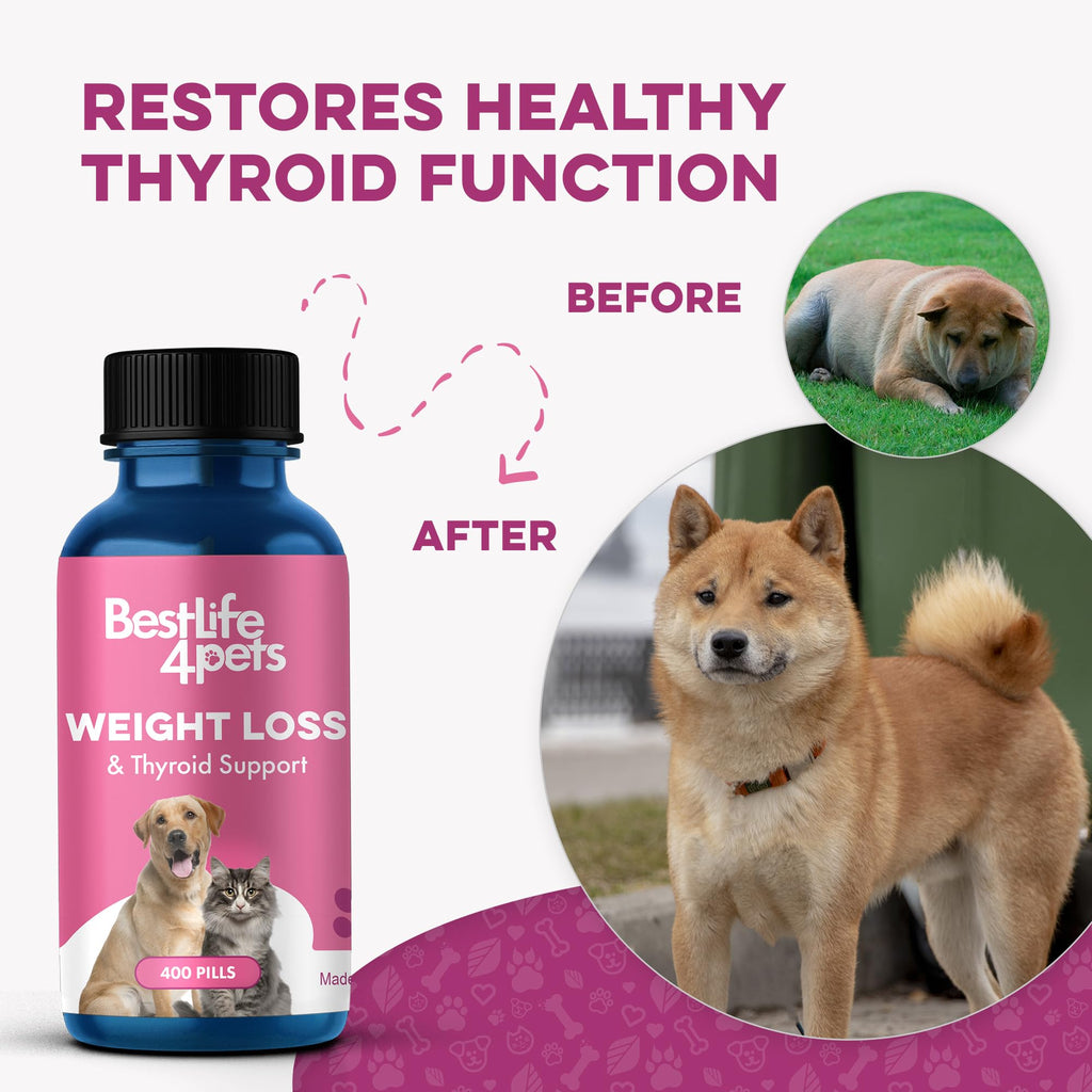 Weight Loss for Dogs 400 Pills Q56323