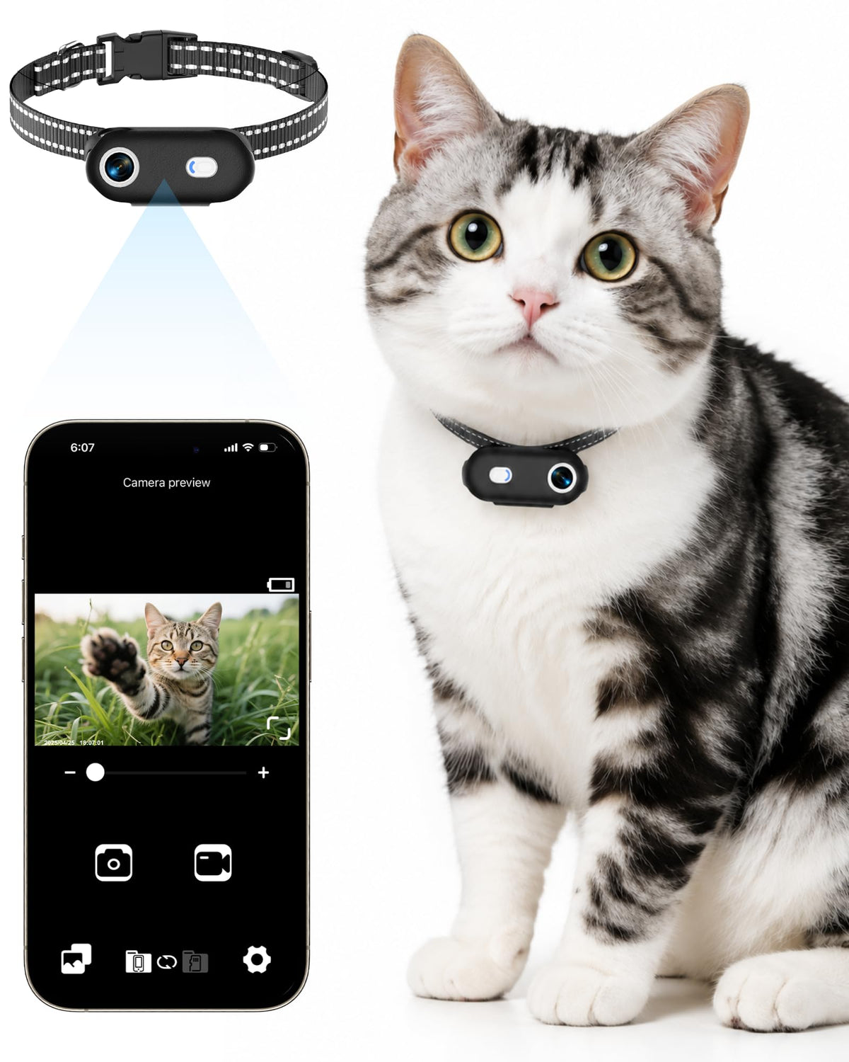 Cat Camera Collar with Phone App P842