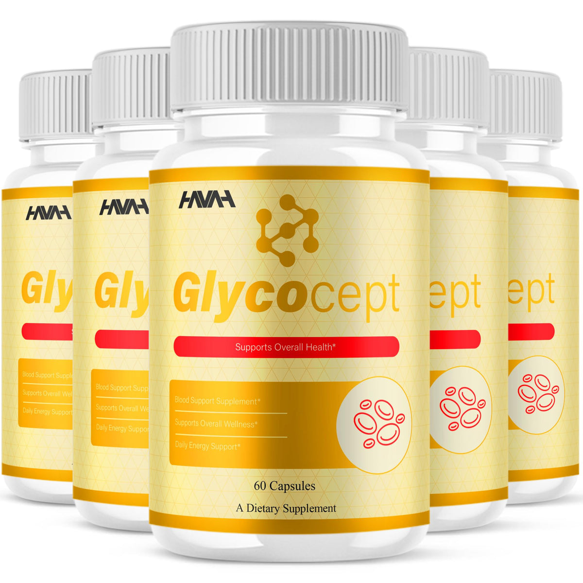 5 Pack 300 Capsules Blood Support Z217226
