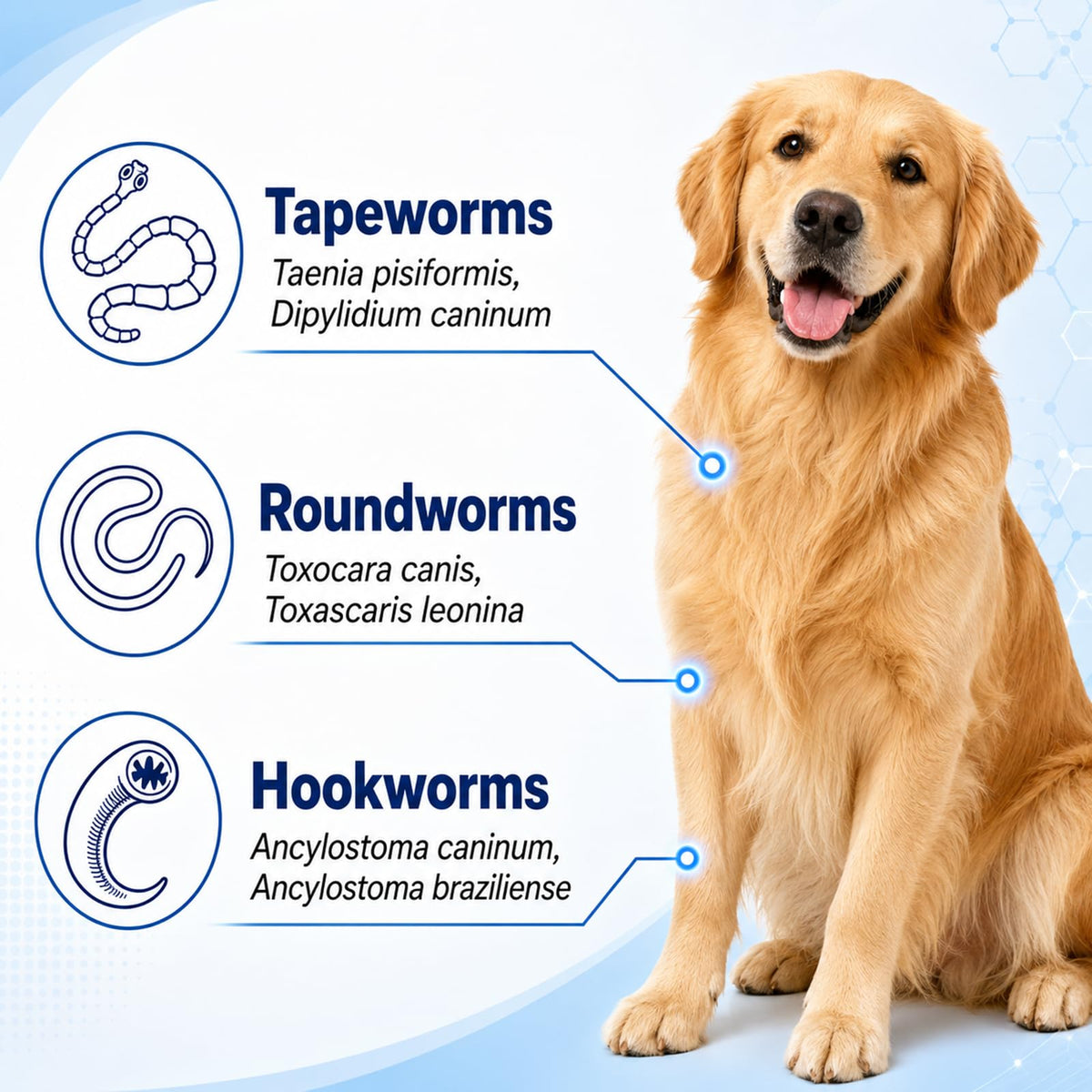 7 Way De-Wormer Tablet for Dogs E16438