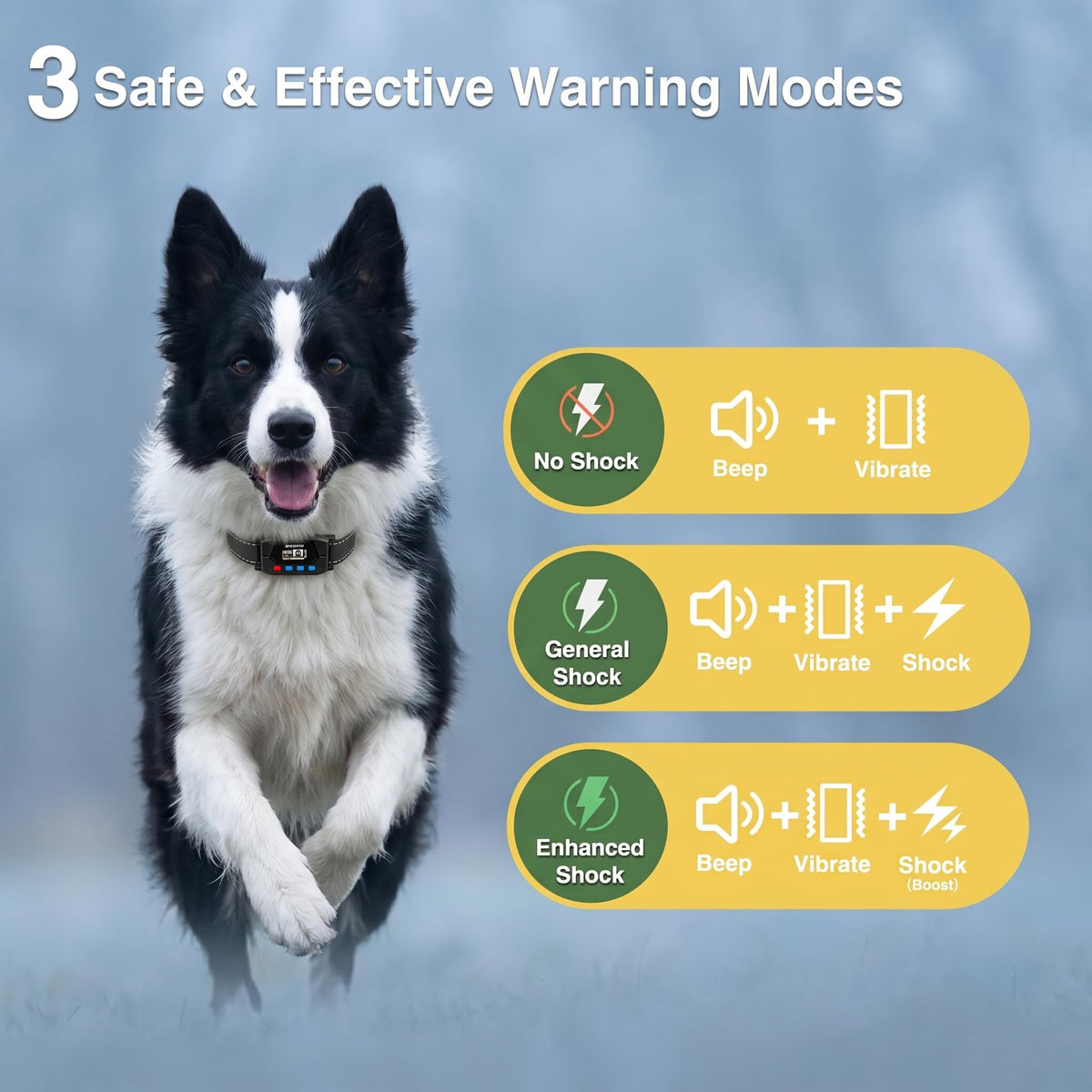 GPS Wireless Dog Fence System with 2 Collar R2488