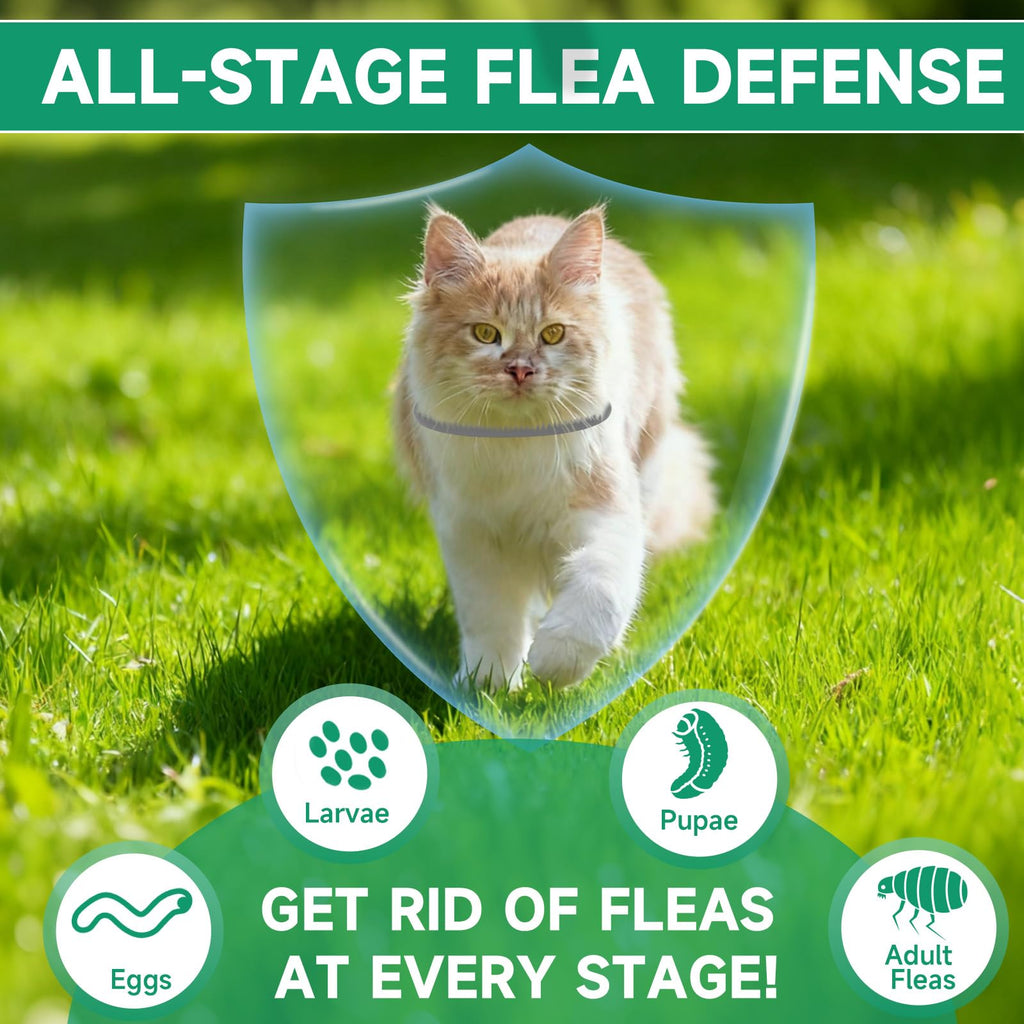 Grey 4-Pack Cat Flea and Tick Collar F707158