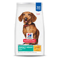 Dry Dog Food Y543908