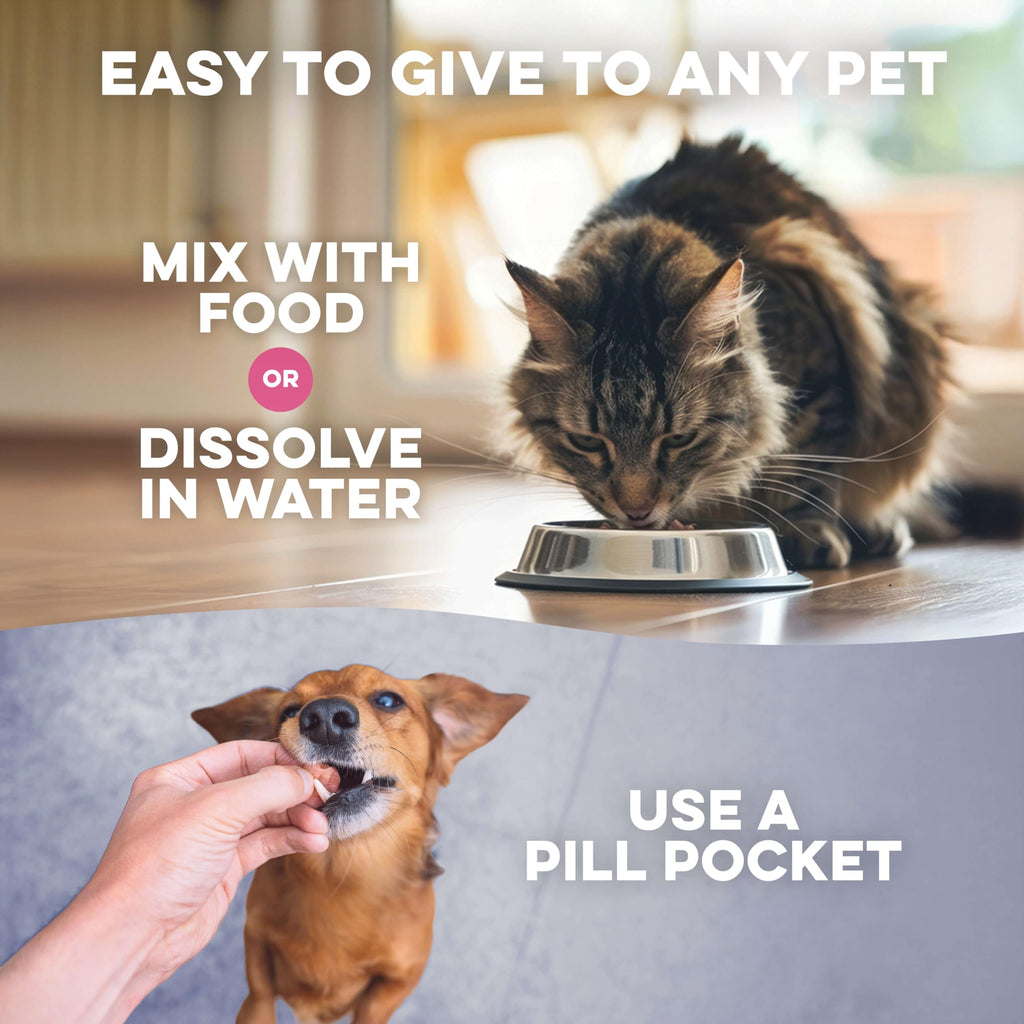 Weight Loss for Dogs 400 Pills Q56323