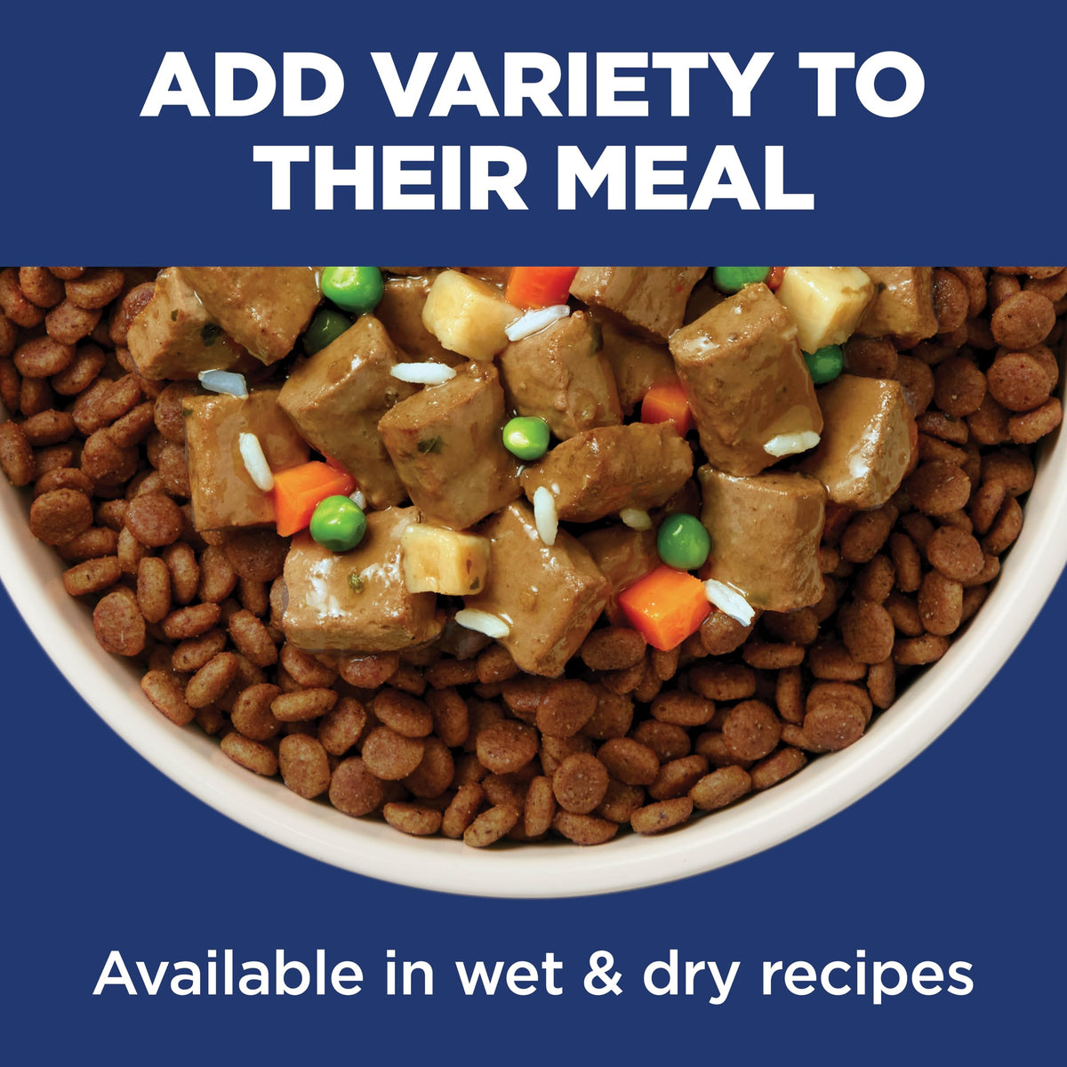 Dry Dog Food Y543908