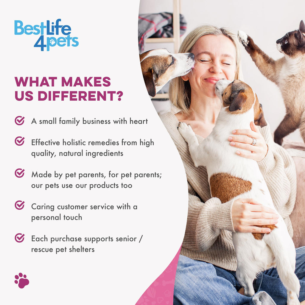 Weight Loss for Dogs 400 Pills Q56323