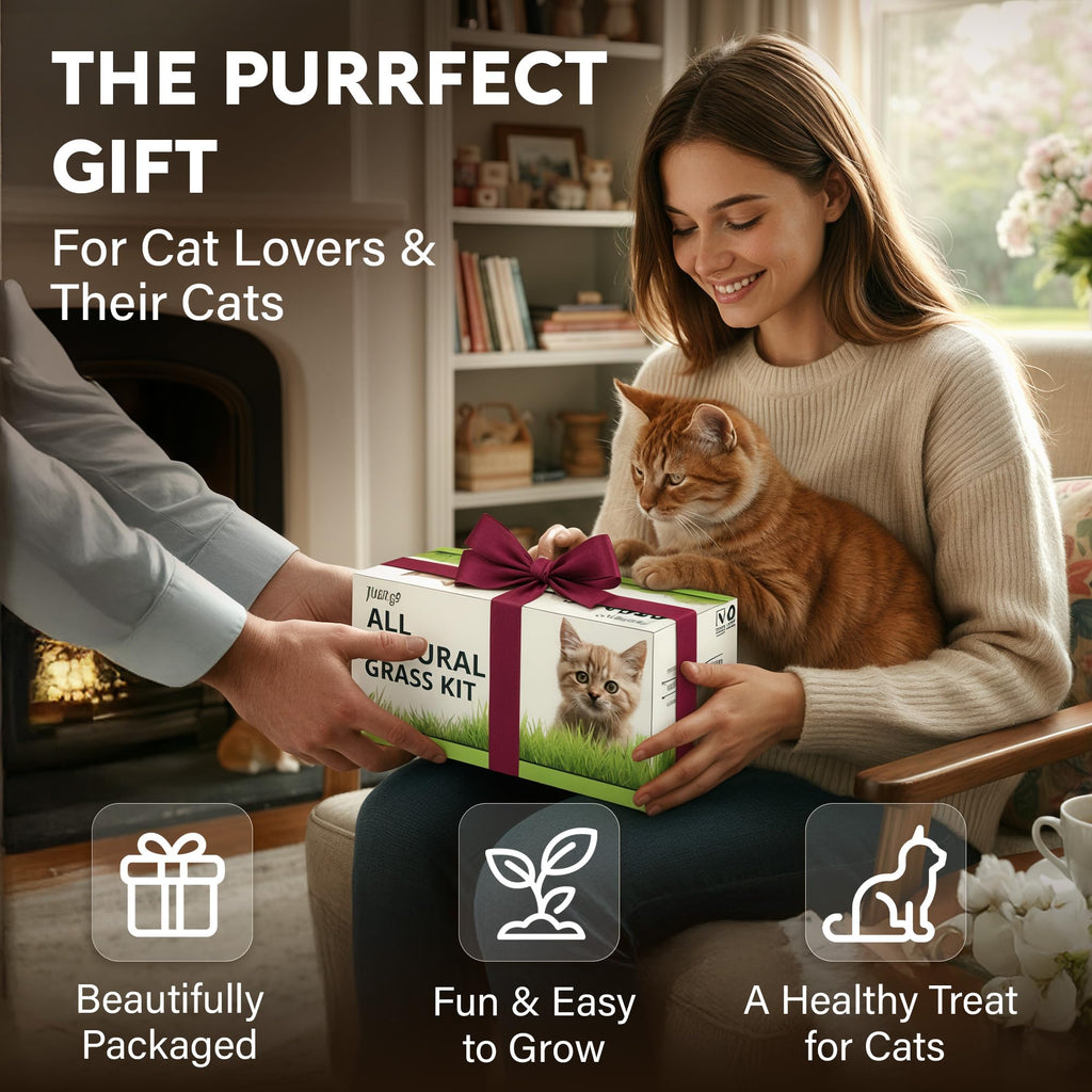 Cat Grass Kit E521