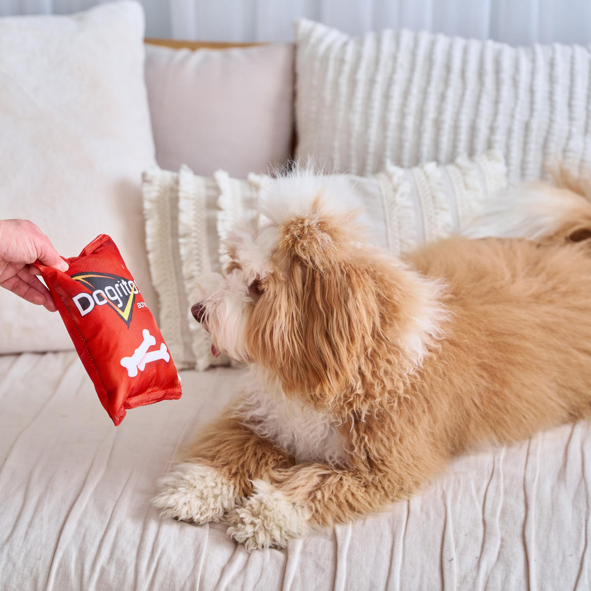 Plush Squeaker Toy for Small and Medium Dogs K603559