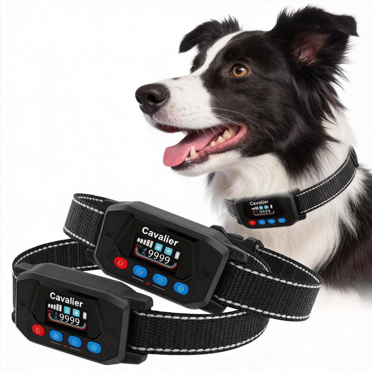 GPS Wireless Dog Fence System with 2 Collar R2488