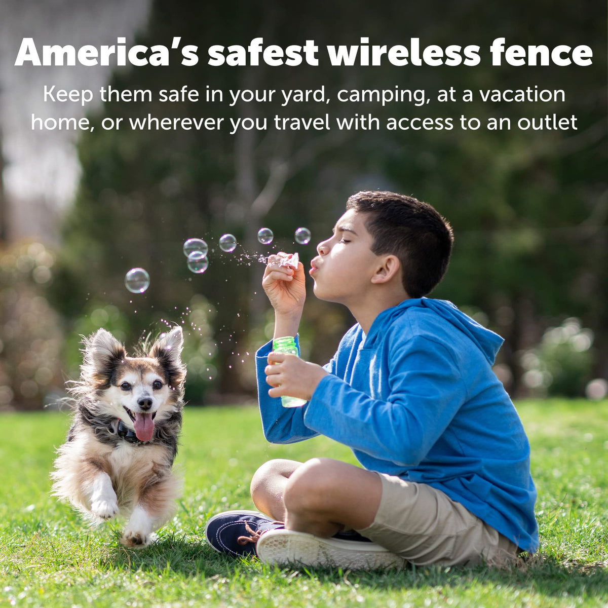 Wireless Pet Containment System U32535