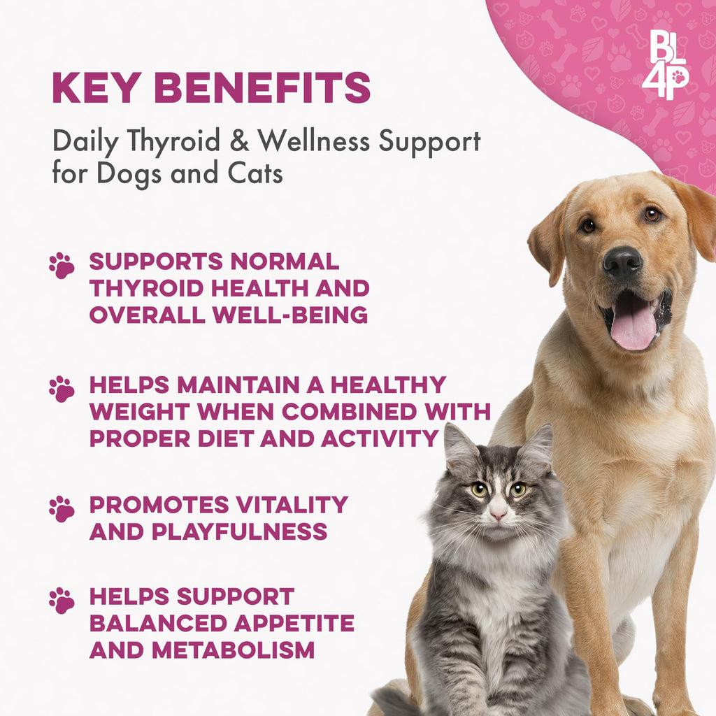 Weight Loss for Dogs 400 Pills Q56323