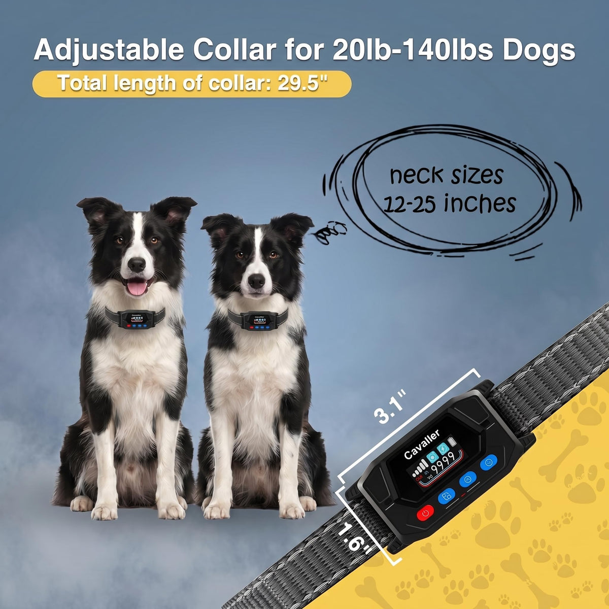 GPS Wireless Dog Fence System with 2 Collar R2488