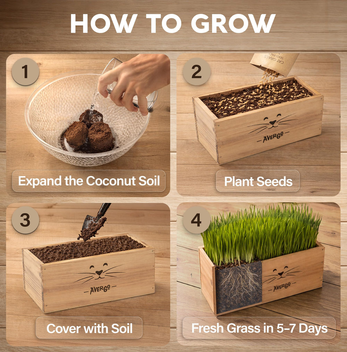 Cat Grass Kit E521