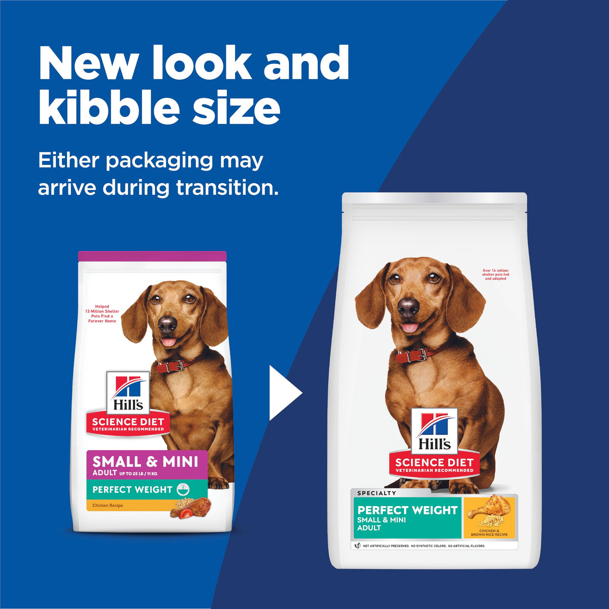 Dry Dog Food Y543908