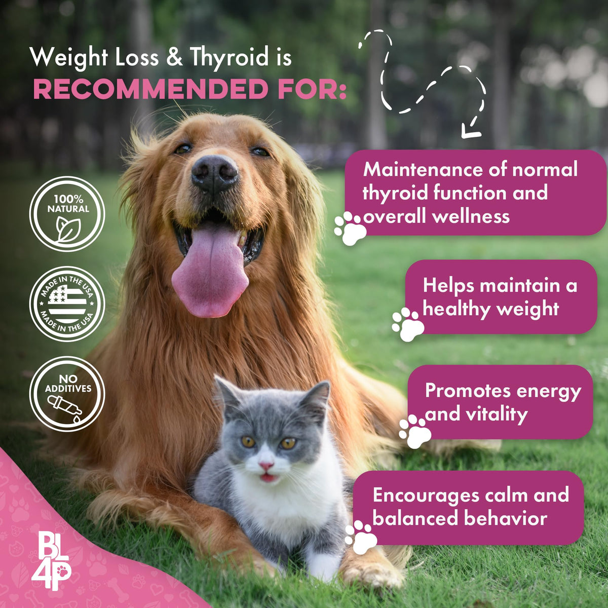 Weight Loss for Dogs 400 Pills Q56323