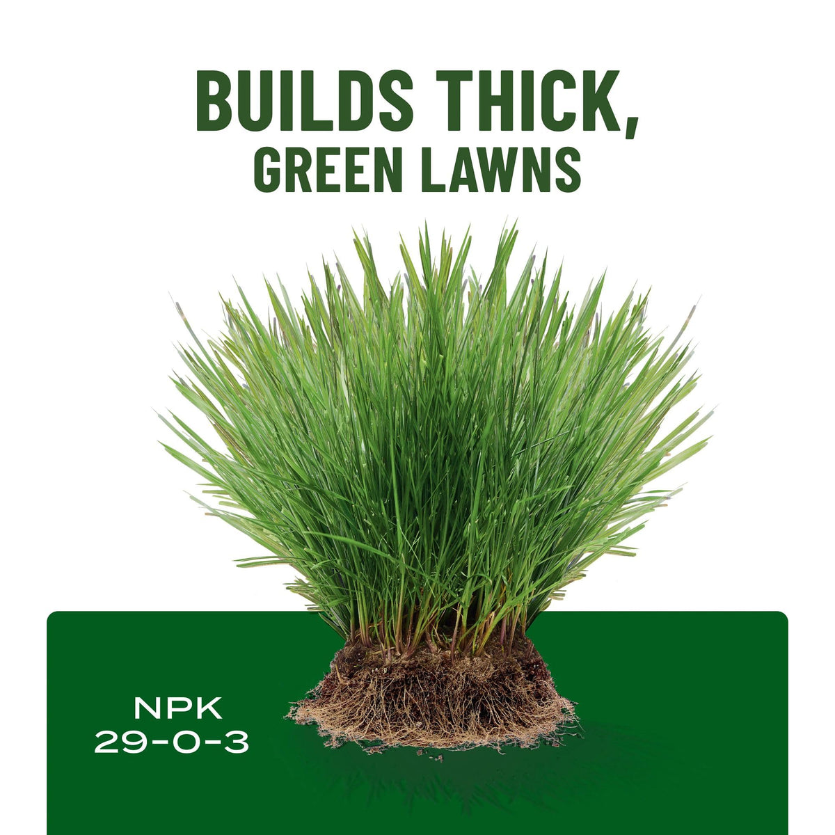 Liquid Lawn Food 32 fl. oz. R382
