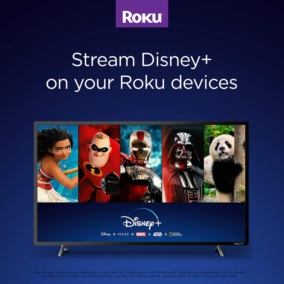 4K HDR Streaming Media Player with HDMI Cable E1231