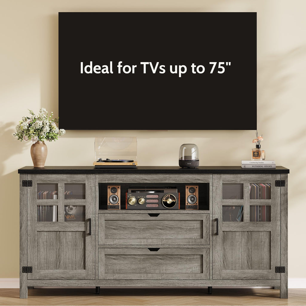 66'' Farmhouse TV Stand with Storage W2178