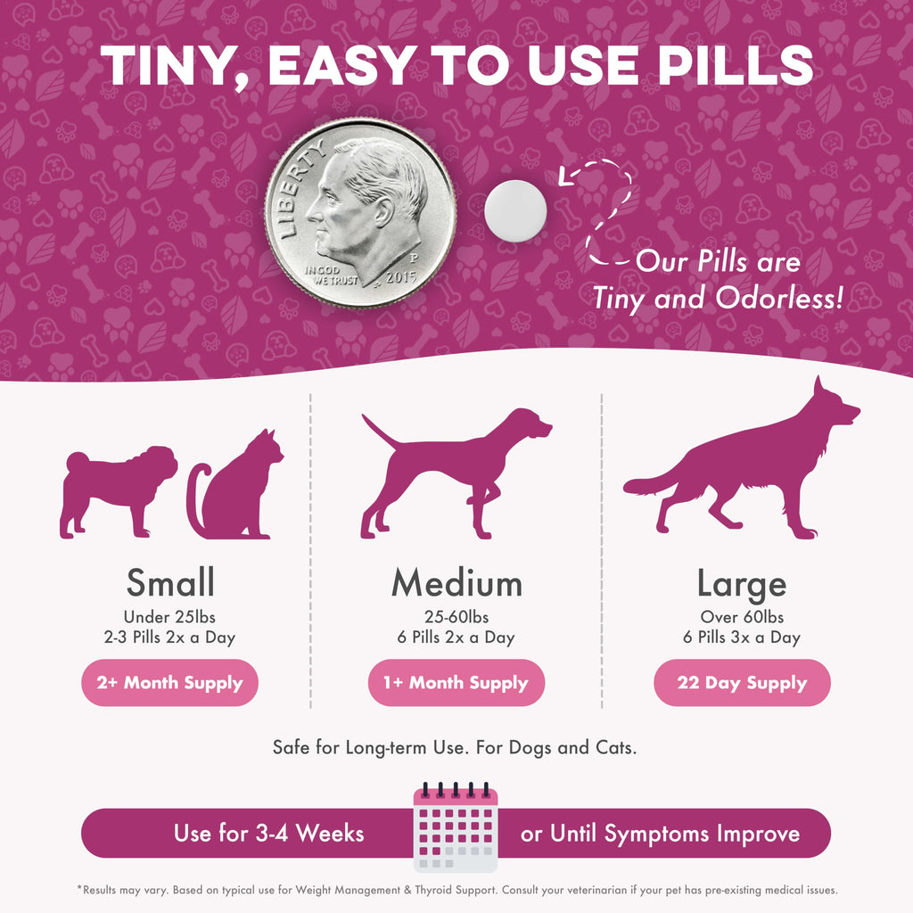 Weight Loss for Dogs 400 Pills Q56323