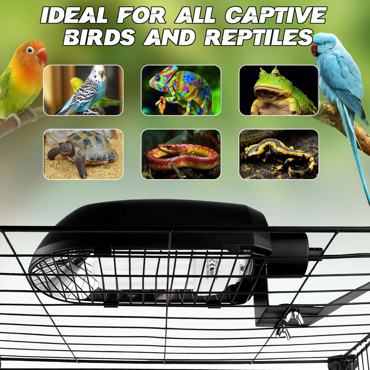 Bird Cage Light Fixture Combo Kit with Adjustable Timer M9872
