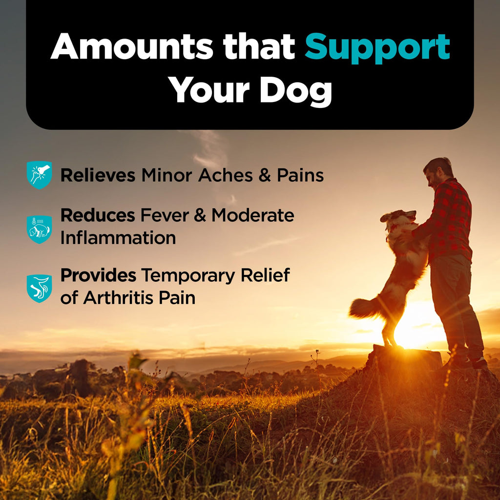 Aspirin Tablets for Large Dogs 300mg 75 Count C9530