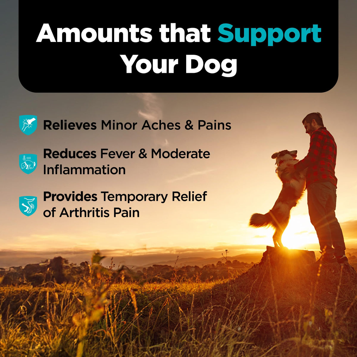Aspirin Tablets for Large Dogs 300mg 75 Count C9530