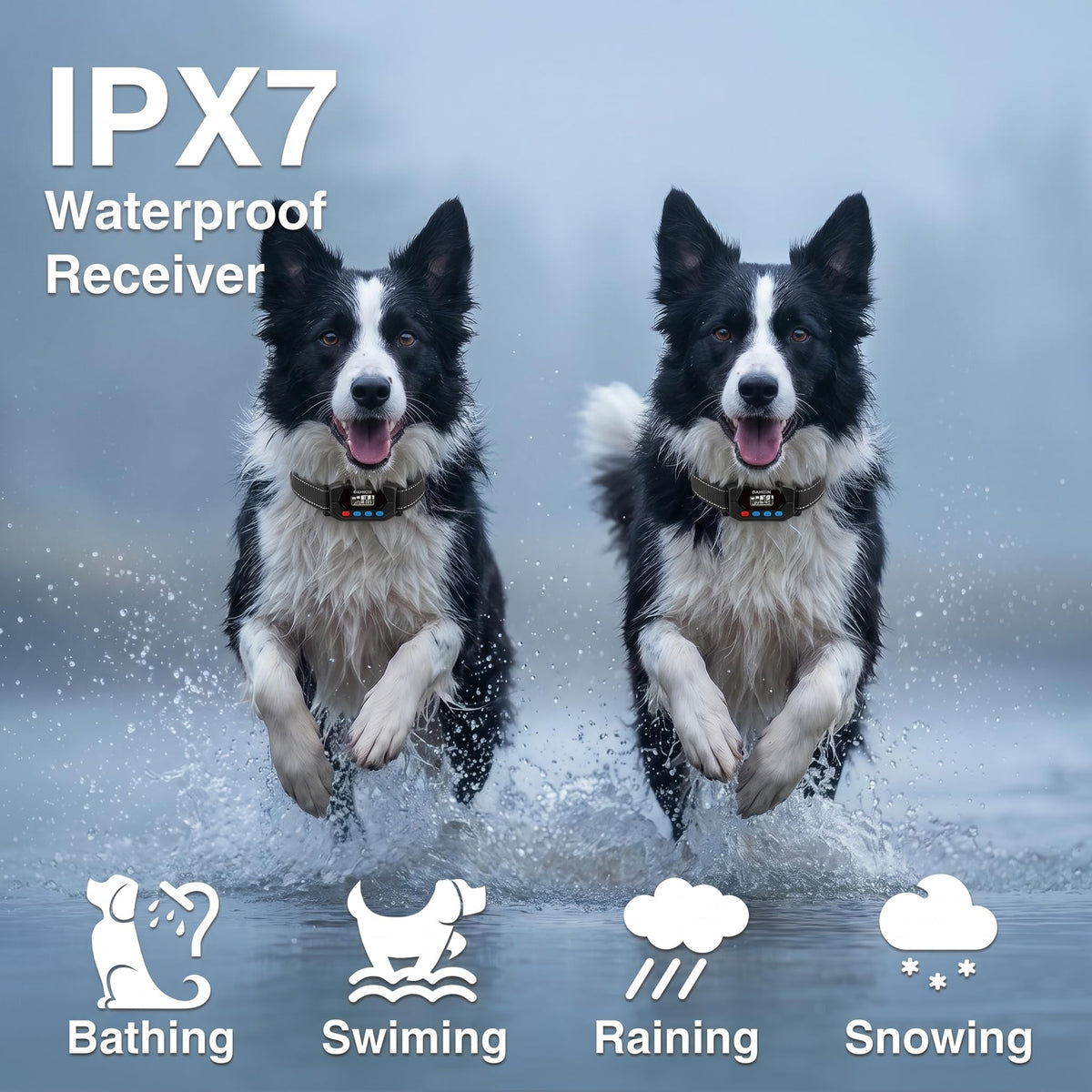 GPS Wireless Dog Fence System with 2 Collar R2488