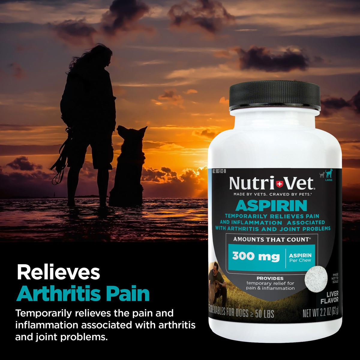 Aspirin Tablets for Large Dogs 300mg 75 Count C9530