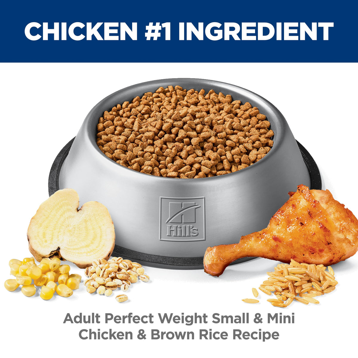 Dry Dog Food Y543908