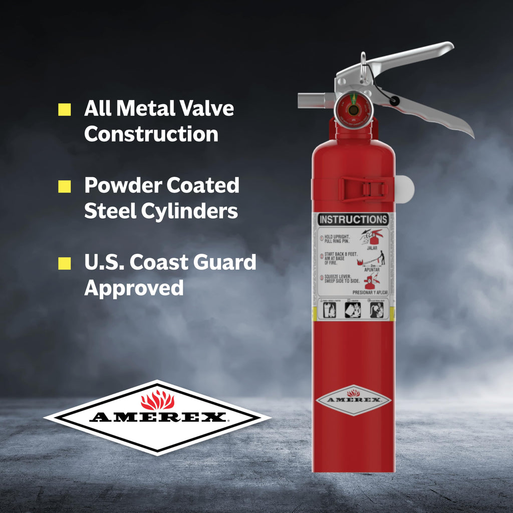 2.5 Pound ABC Dry Chemical Fire Extinguisher with Wall Bracket Q937831