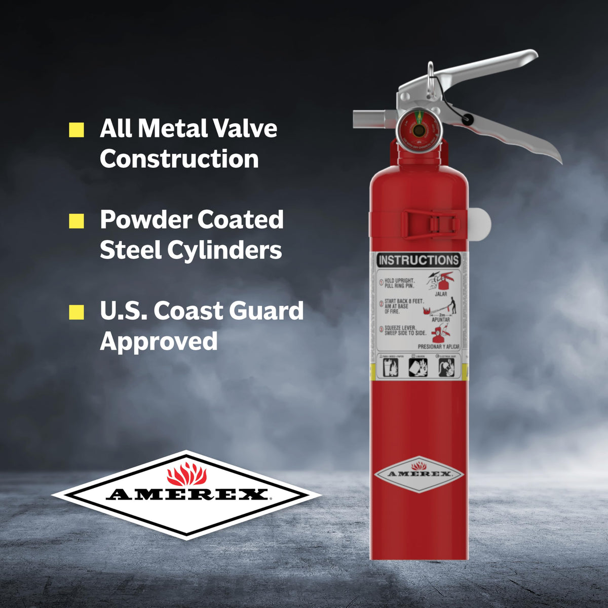 2.5 Pound ABC Dry Chemical Fire Extinguisher with Wall Bracket Q937831