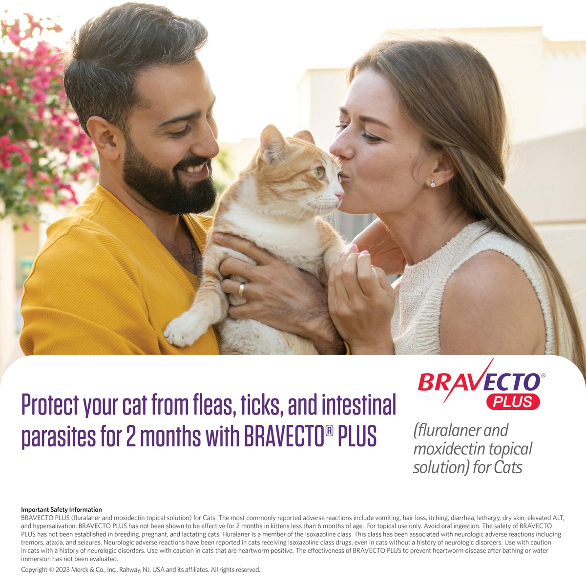 Flea Tick & Heartworm Topical Solution for Cats 2 Months Supply T94525