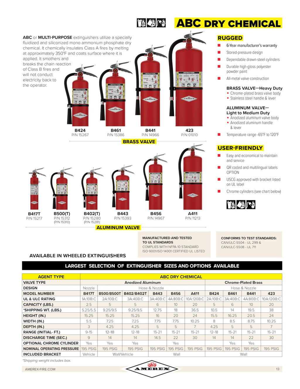 2.5 Pound ABC Dry Chemical Fire Extinguisher with Wall Bracket Q937831