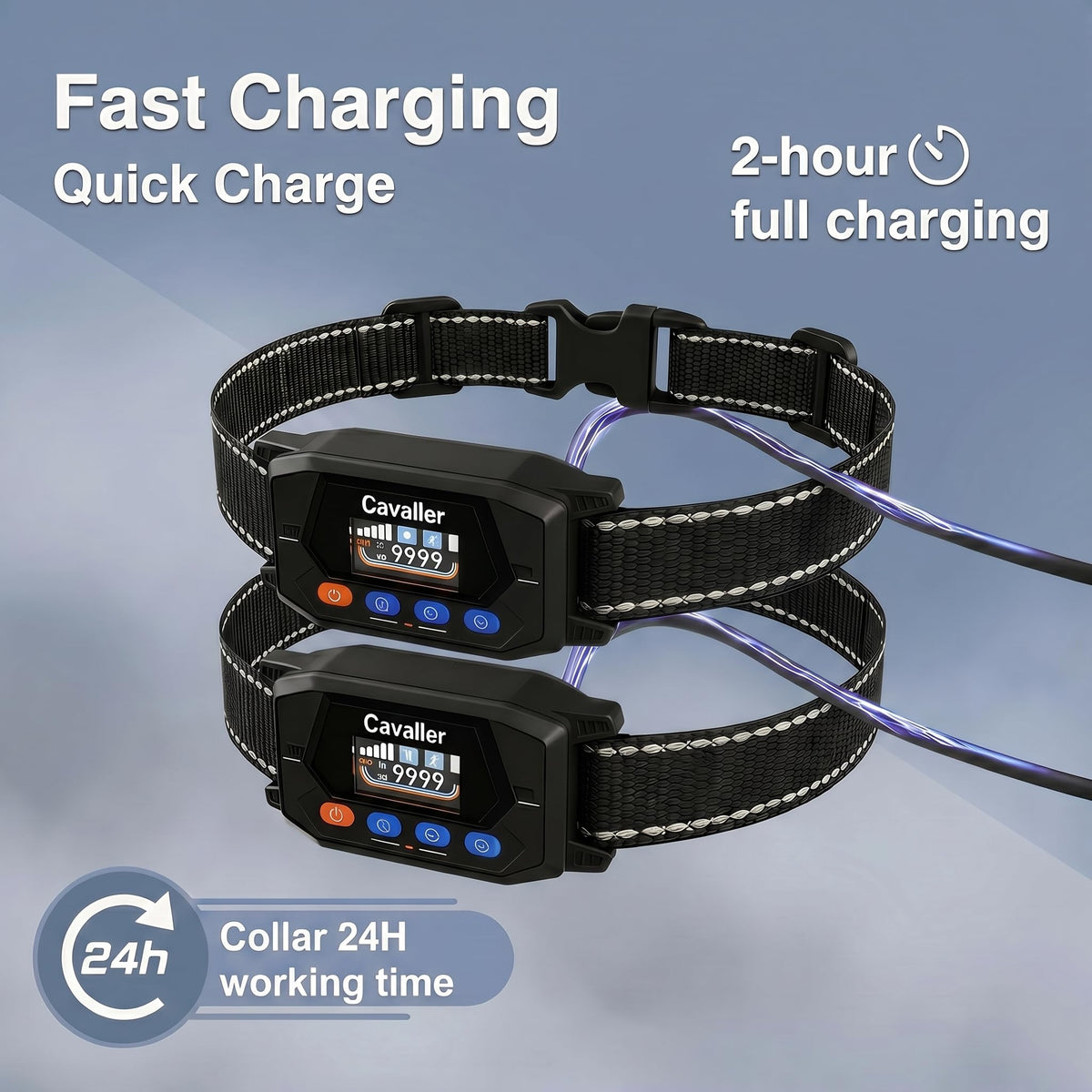 GPS Wireless Dog Fence System with 2 Collar R2488
