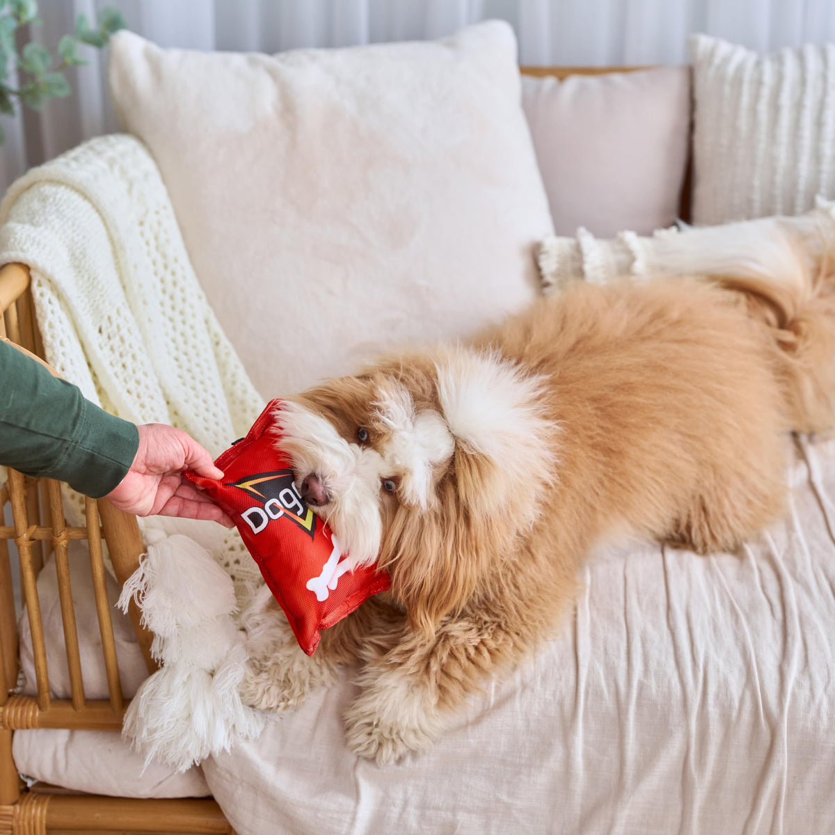 Plush Squeaker Toy for Small and Medium Dogs K603559