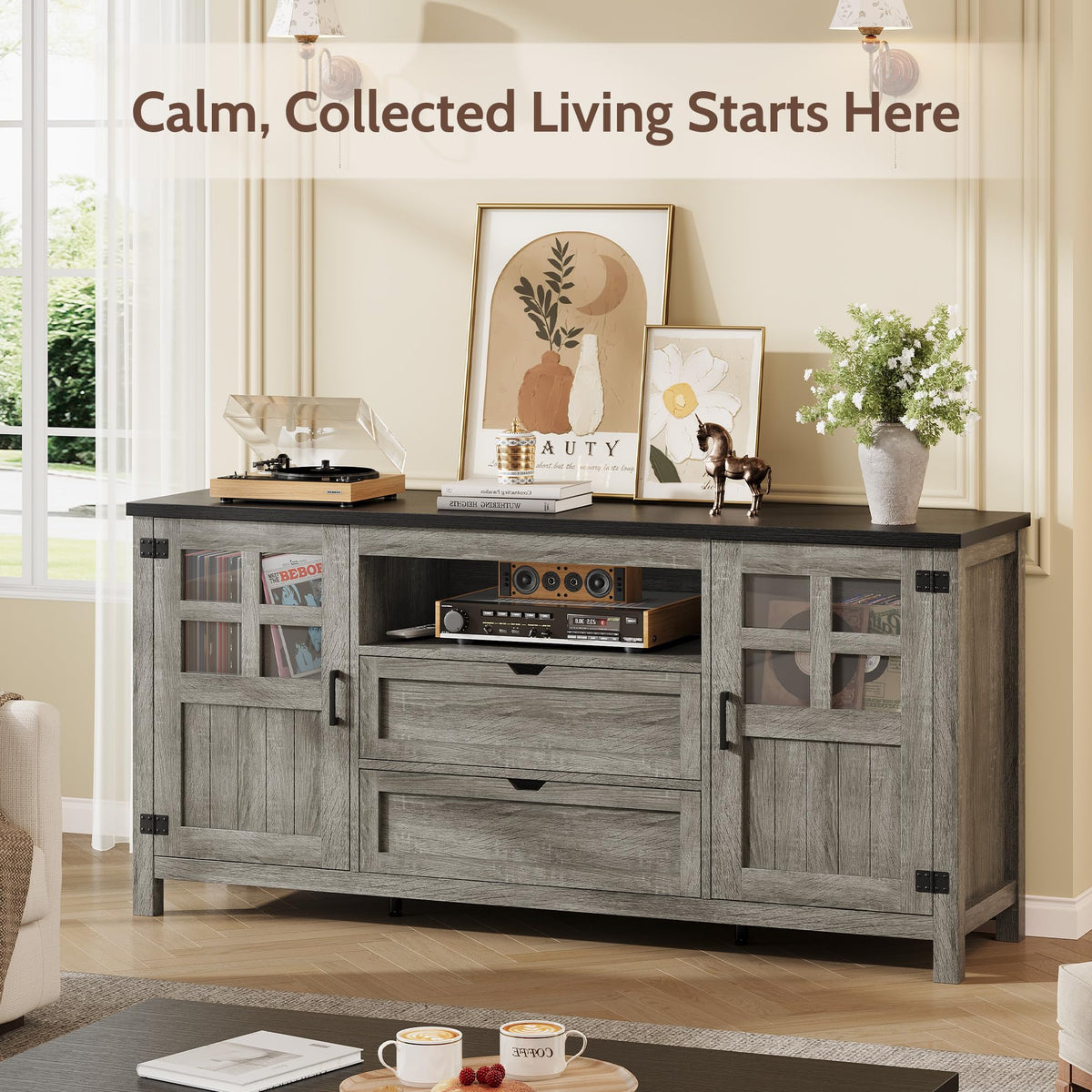 66'' Farmhouse TV Stand with Storage W2178