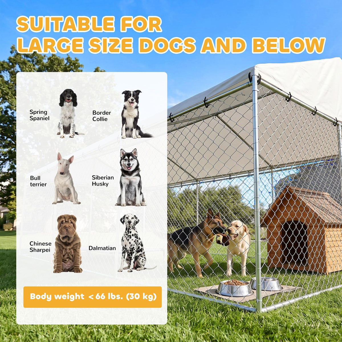 Outdoor Dog Kennel P5532